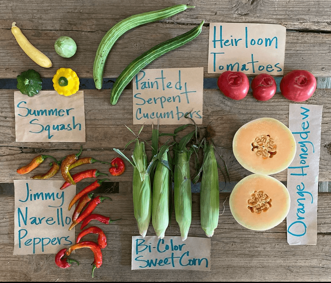 Riverdog Farm CSA Weekly Farm Boxes